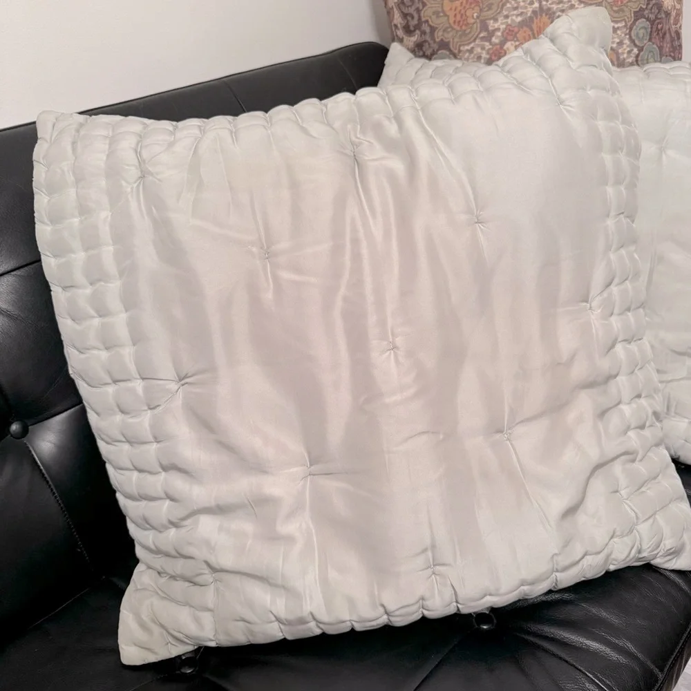 Pottery Barn | 100% Silk | Euro Size | 2/ Pillow Covers